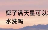 椰子满天星可以水洗吗 椰子满天星能水洗吗