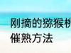 刚摘的猕猴桃怎么催熟 刚摘的猕猴桃催熟方法