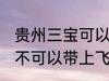 贵州三宝可以带上飞机吗 贵州三宝可不可以带上飞机