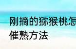 刚摘的猕猴桃怎么催熟 刚摘的猕猴桃催熟方法
