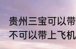 贵州三宝可以带上飞机吗 贵州三宝可不可以带上飞机