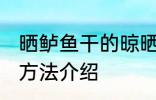 晒鲈鱼干的晾晒方法 晒鲈鱼干的晾晒方法介绍