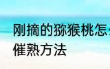 刚摘的猕猴桃怎么催熟 刚摘的猕猴桃催熟方法
