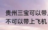 贵州三宝可以带上飞机吗 贵州三宝可不可以带上飞机