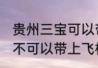 贵州三宝可以带上飞机吗 贵州三宝可不可以带上飞机