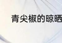 青尖椒的晾晒方法 如何晒干青椒