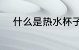 什么是热水杯子 热水杯子的简介