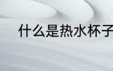 什么是热水杯子 热水杯子的简介