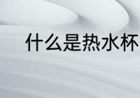 什么是热水杯子 热水杯子的简介