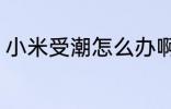 小米受潮怎么办啊 小米受潮还能吃吗
