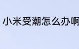 小米受潮怎么办啊 小米受潮还能吃吗