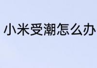 小米受潮怎么办啊 小米受潮还能吃吗