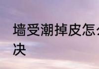 墙受潮掉皮怎么办 墙受潮掉皮如何解决