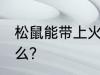 松鼠能带上火车吗 可以带松鼠上火车么？