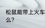 松鼠能带上火车吗 可以带松鼠上火车么？