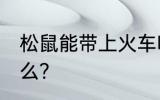 松鼠能带上火车吗 可以带松鼠上火车么？