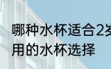 哪种水杯适合2岁宝宝用 适合2岁宝宝用的水杯选择