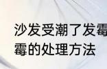 沙发受潮了发霉怎么办 沙发受潮了发霉的处理方法