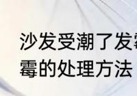 沙发受潮了发霉怎么办 沙发受潮了发霉的处理方法