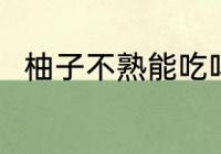 柚子不熟能吃吗 柚子不熟能不能吃