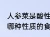 人参菜是酸性还是碱性食物 人参菜是哪种性质的食物