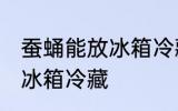 蚕蛹能放冰箱冷藏里吗 蚕蛹能不能放冰箱冷藏