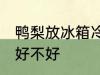 鸭梨放冰箱冷藏好吗 鸭梨放冰箱冷藏好不好